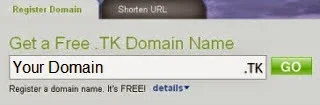 Type domain name you want to register