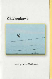 Chickenhawk