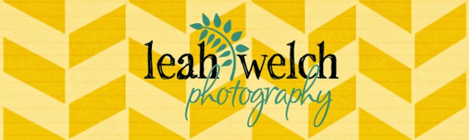 leah welch photography