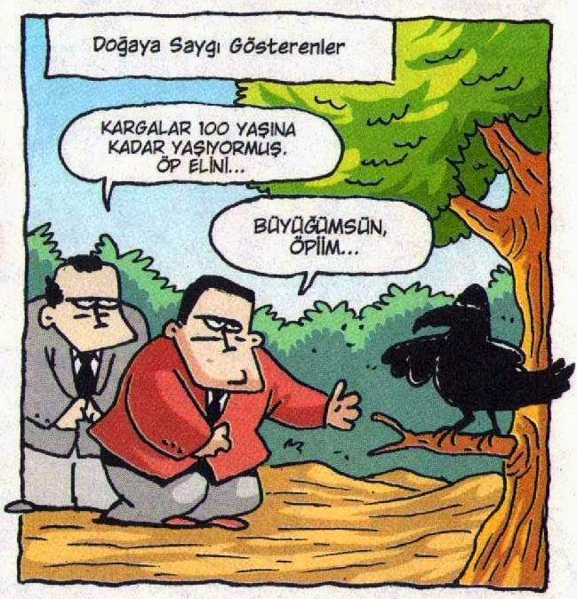 komik karikaturler doga karikaturleri kargalar