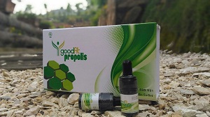 Obat Herbal Propolis Goodfit