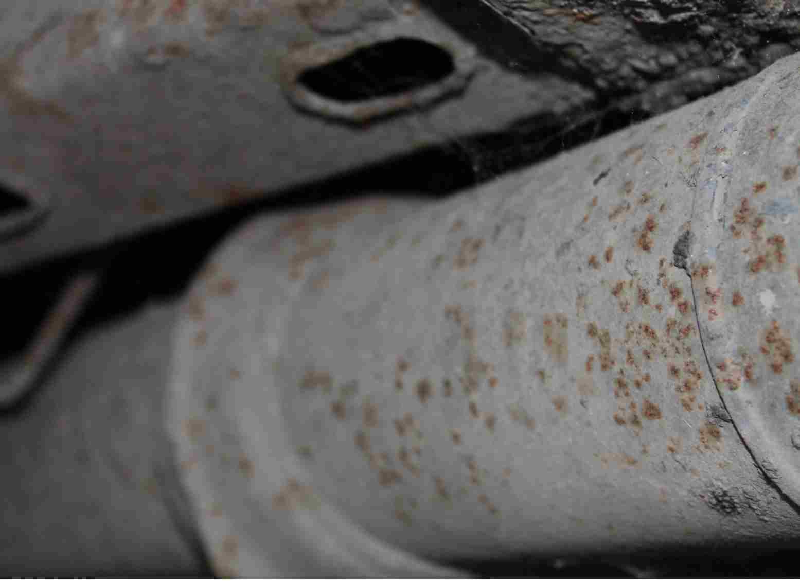 Doc Evas Kochlatein Page 14 Chan 38550077 Rssing Com