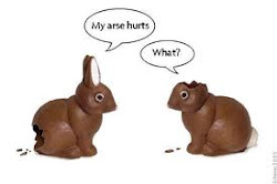 Chocolate Bunnies Communicate