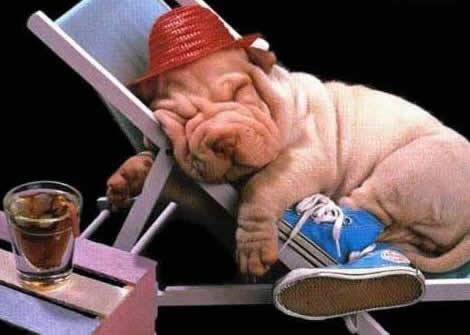 Sindbad Telugu Cartoon Story Moral Stories for Children