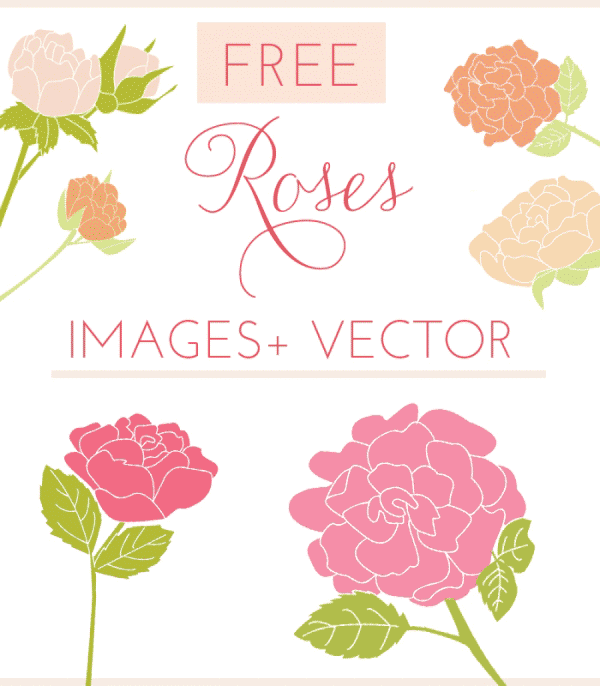 free roses clip art, clipart, free vector, free vectors, rose image, rose clip art,
