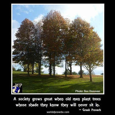 World of Proverbs: A society grows great when old men plant trees whose