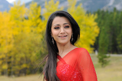 Trisha Indian Actress Cute Saree Picture gallery 