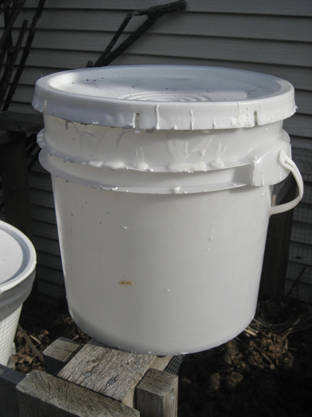 Deaf Dogs and Benevolent Gnomes The Frosting BucketHorse Poop Triangle