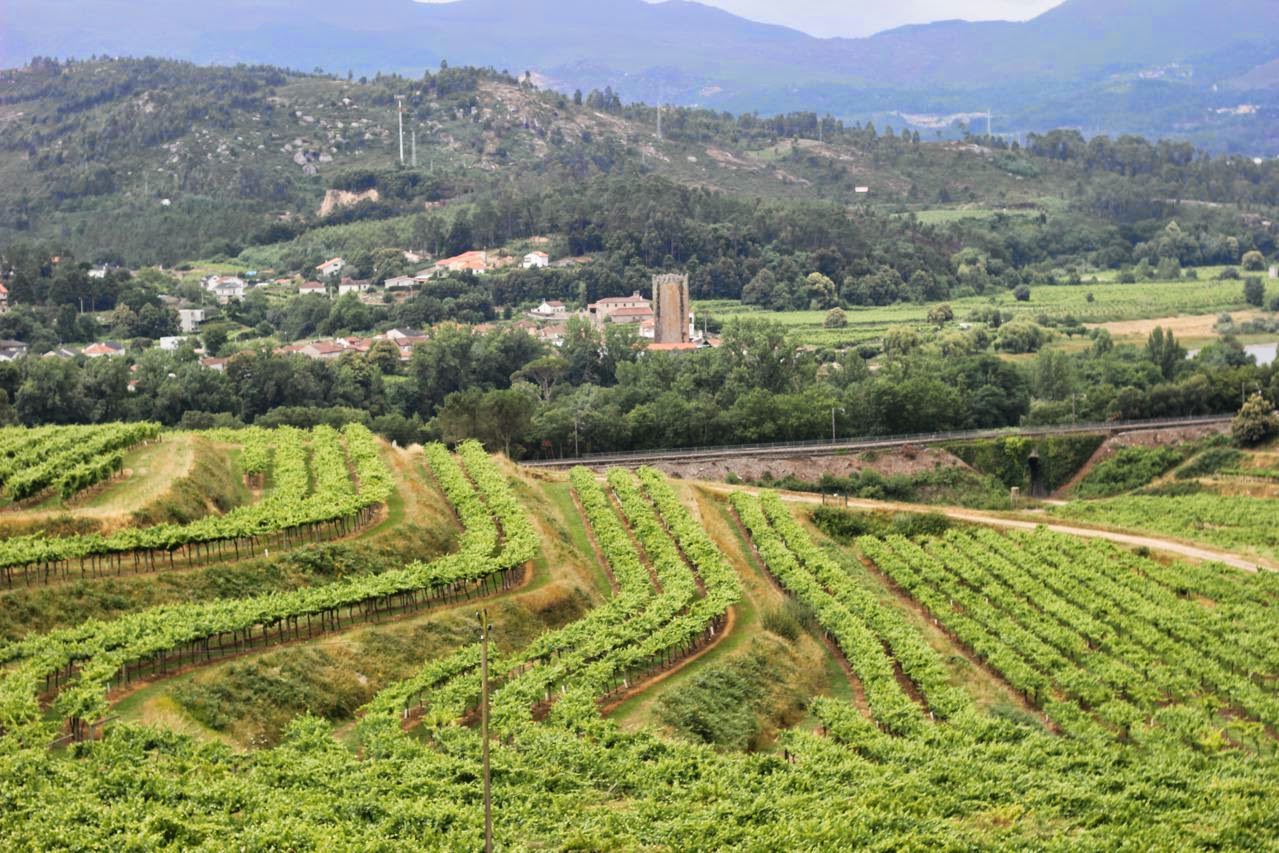 Resultado de imagen de Ruta do Viño Rías Baixas