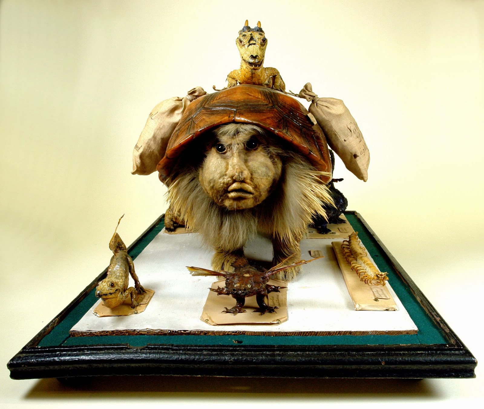 Wakefield Museum and Castles Charles Waterton's Creations MuseumWeek