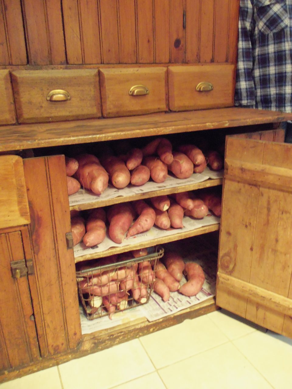 The Deliberate Agrarian Growing Sweet Potatoes in My Northern Garden