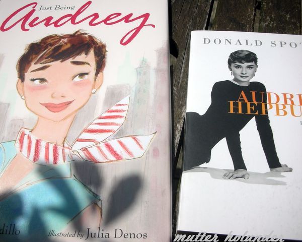 Buchthema Mai Juni Juli Die Zitronenfalterin