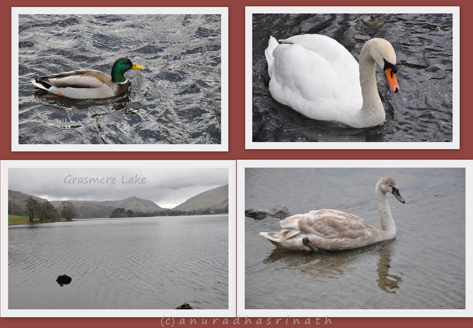 Life Is Beautiful Grasmere in Lake District