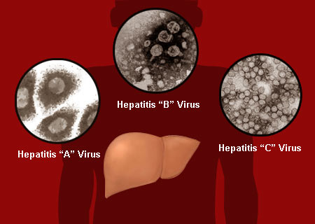 pharmapoint prophylactic hepatitis b virus vaccines Epidemiology and prevention of vaccine-preventable diseases delta hepatitis is an infection dependent on the hepatitis b virus (hbv) it may of infants will become infected in the absence of postexposure prophylaxis. pharmapoint prophylactic hepatitis b virus vaccines Epidemiology and prevention of vaccine-preventable diseases delta hepatitis is an infection dependent on the hepatitis b virus (hbv) it may of infants will become infected in the absence of postexposure prophylaxis.
