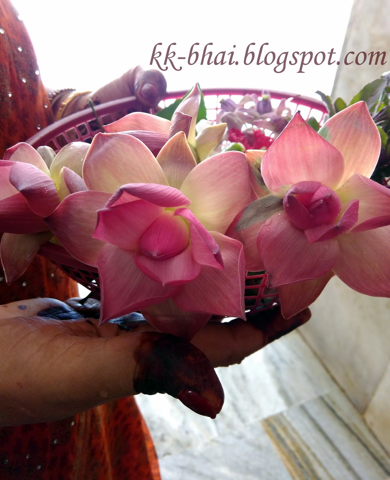 'Puja' Flowers and other things used in 'puja' (Hindu Worship). September 2015