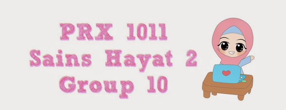PRX 1011 HAYAT 2 GROUP 10