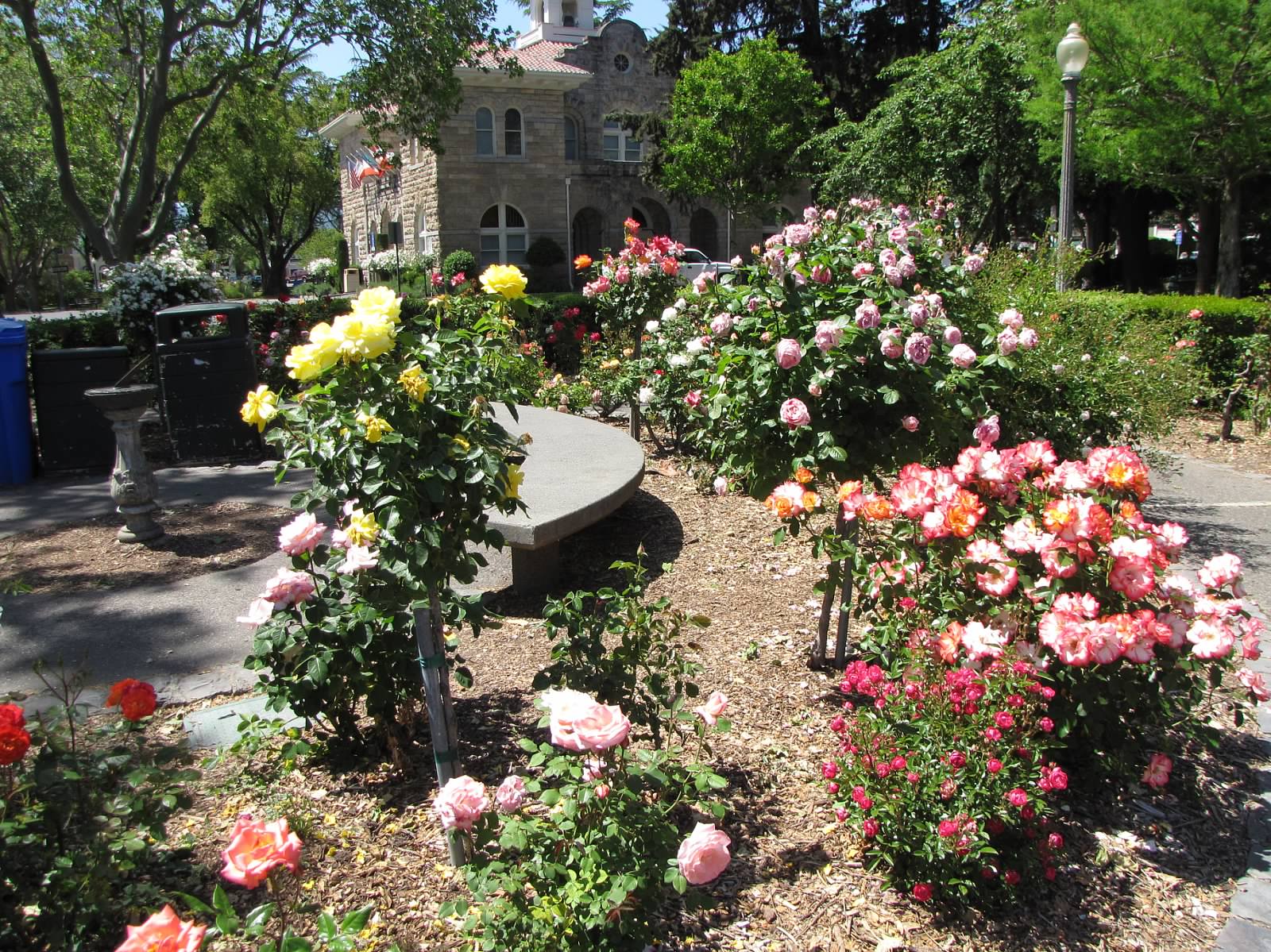 Sonoma Town Square