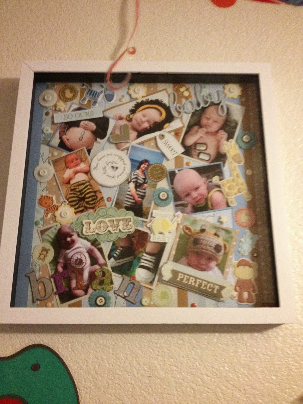 Pitcher Family Adventures Shadow Box Project