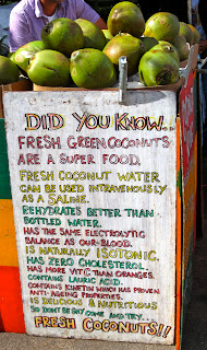 benefits+of+coconuts+thames+festival+london benefitsofcoconutsthamesfestivallondon