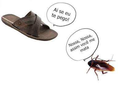 cucaracha.jpg