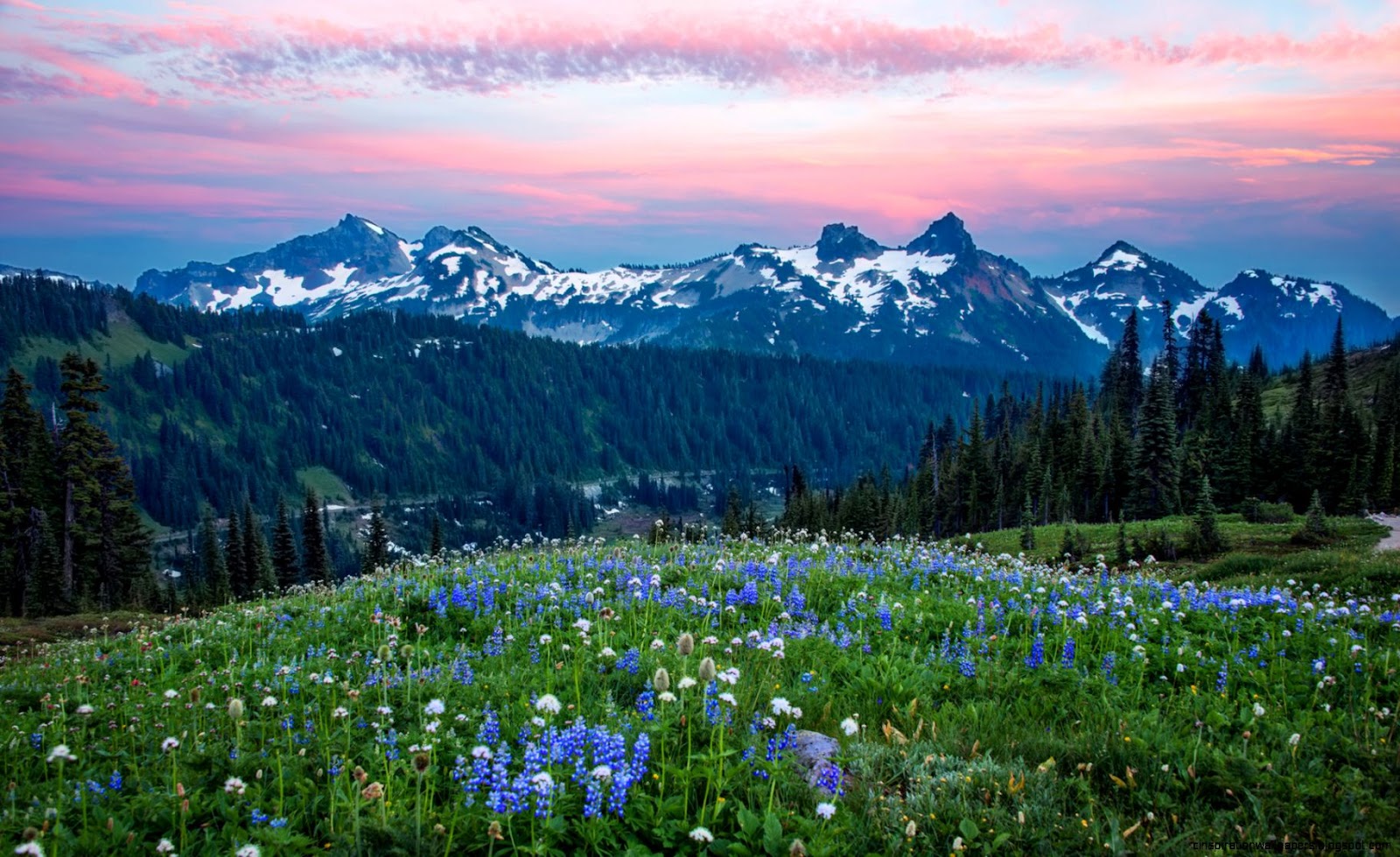 Mount Rainier Washington Mount Rainier Washington