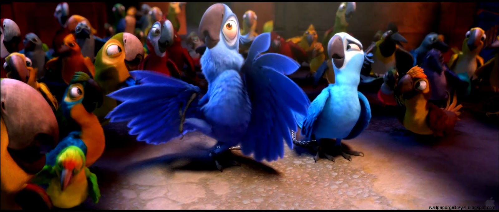 Blu and Jewel from Rio Movie Desktop Wallpaper Blu and Jewel from Rio Movie Desktop Wallpaper