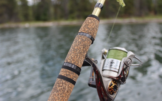 T Brinks Fishing: June 2015