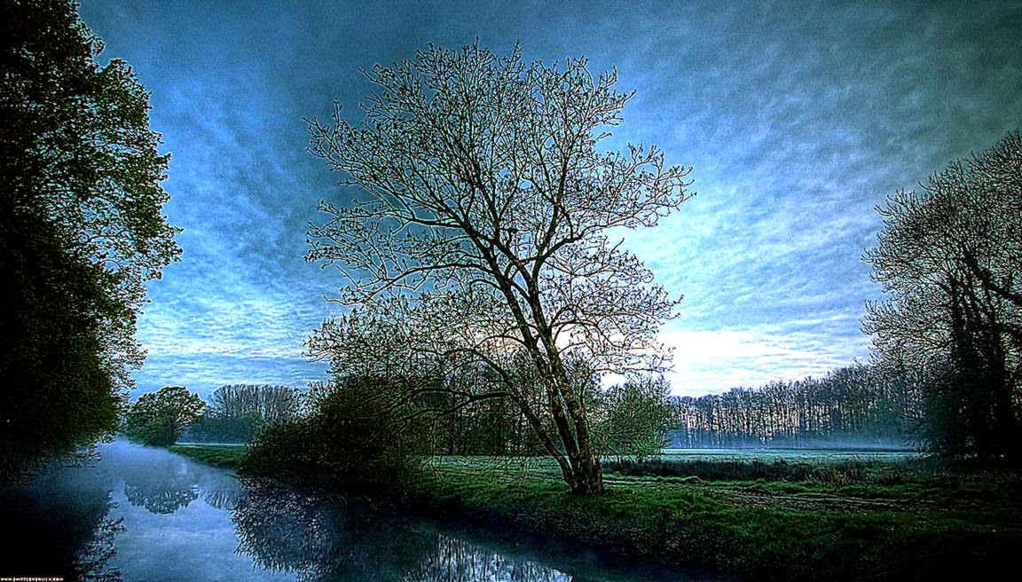 beautiful Nature hd wallpaper 1080 HD Wallpapers beautiful Nature hd wallpaper 1080 HD Wallpapers