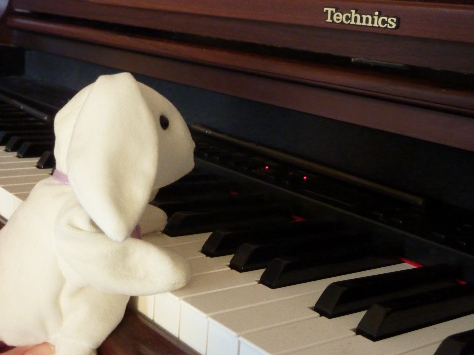 Lost Password LITTLE WHITE RABBIT PLAYS PIANO