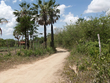 CAMINHOS DA ALDEIA