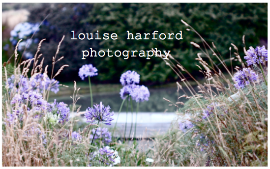 louise harford photography