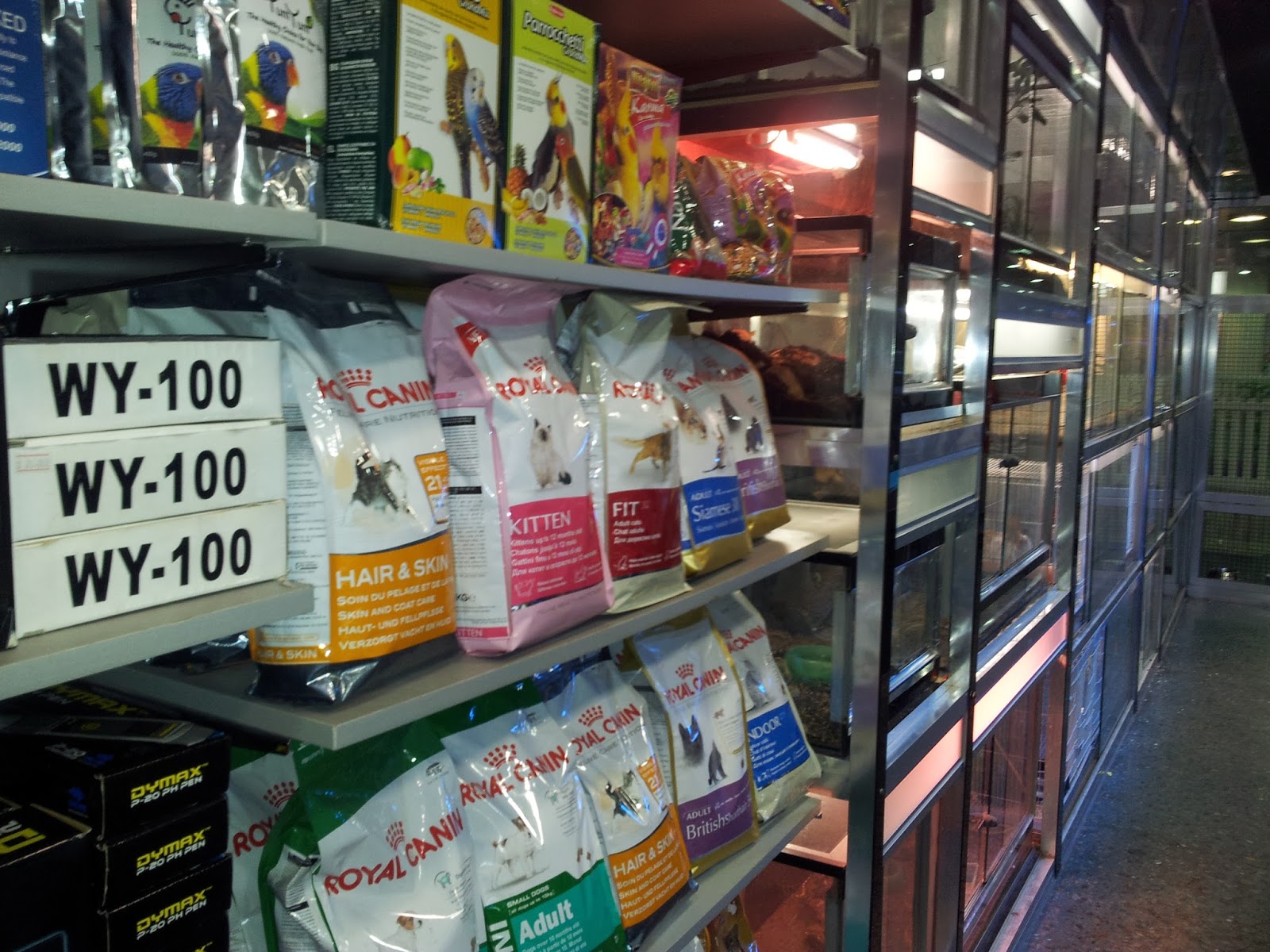 Life in Kuwait Blog Pet shop in Discovery Mall