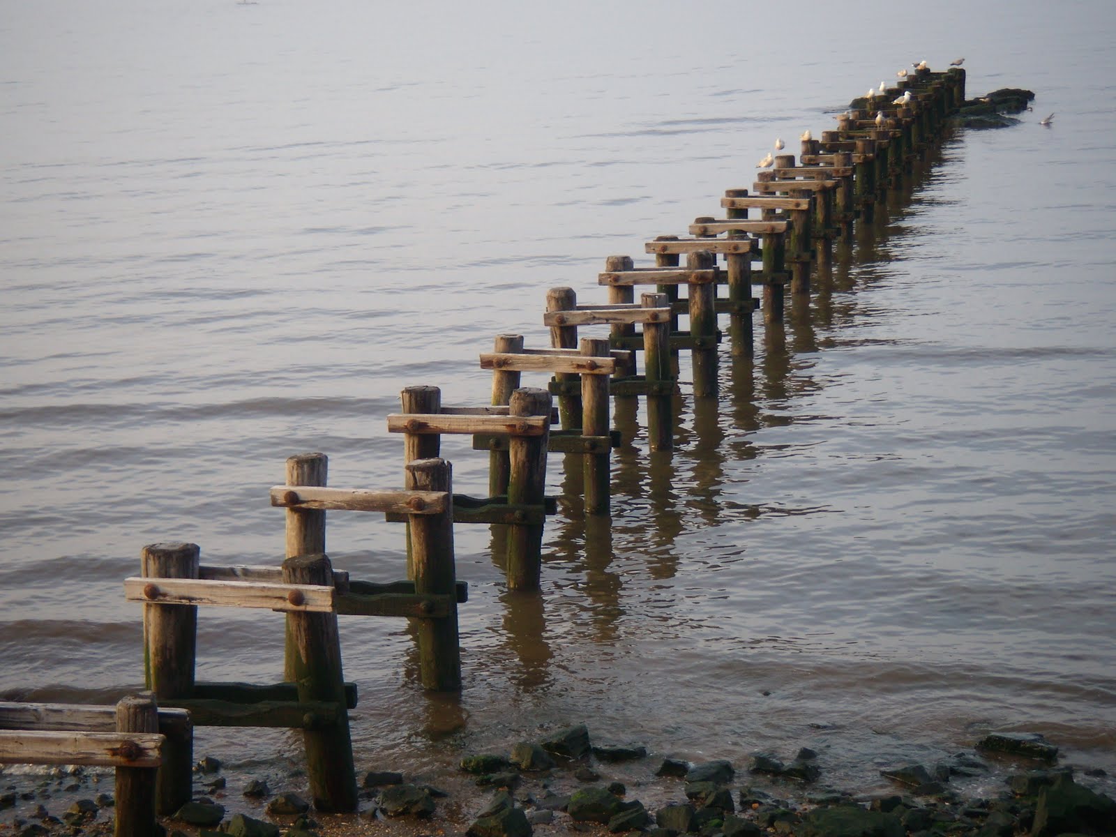 Aberdeen NJ Life A Still Evening on the Cliffwood Beach Seawall