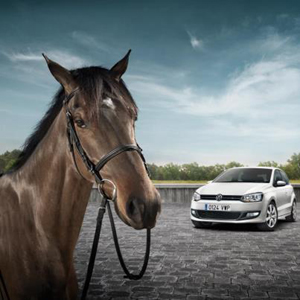 Volkwagen Polo y un caballo Volkwagen Polo y un caballo