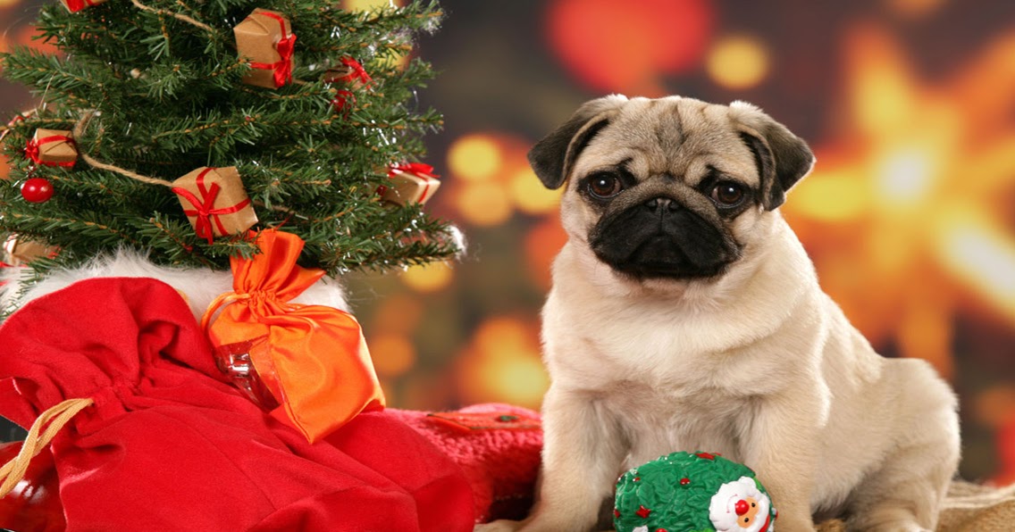 Dog Wallpaper: Free Christmas Wallpaper Puppies widescreen wallpaper
