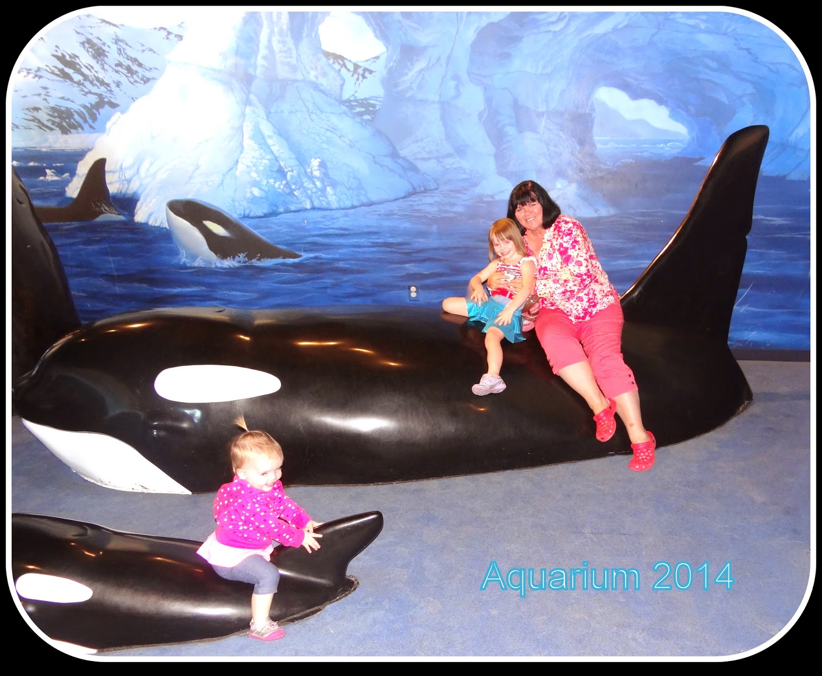 Pattie's Place The Living Aquarium Trip in Sandy, Utah