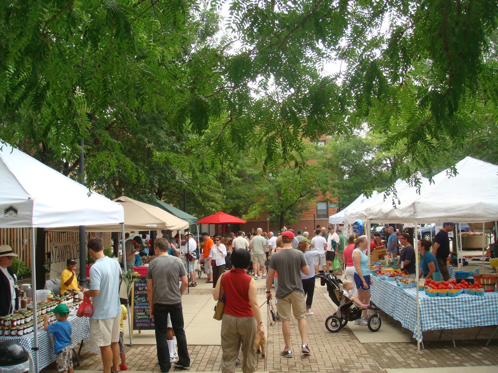 The Chicago Real Estate Local Bowmanville, Northcenter street and yard