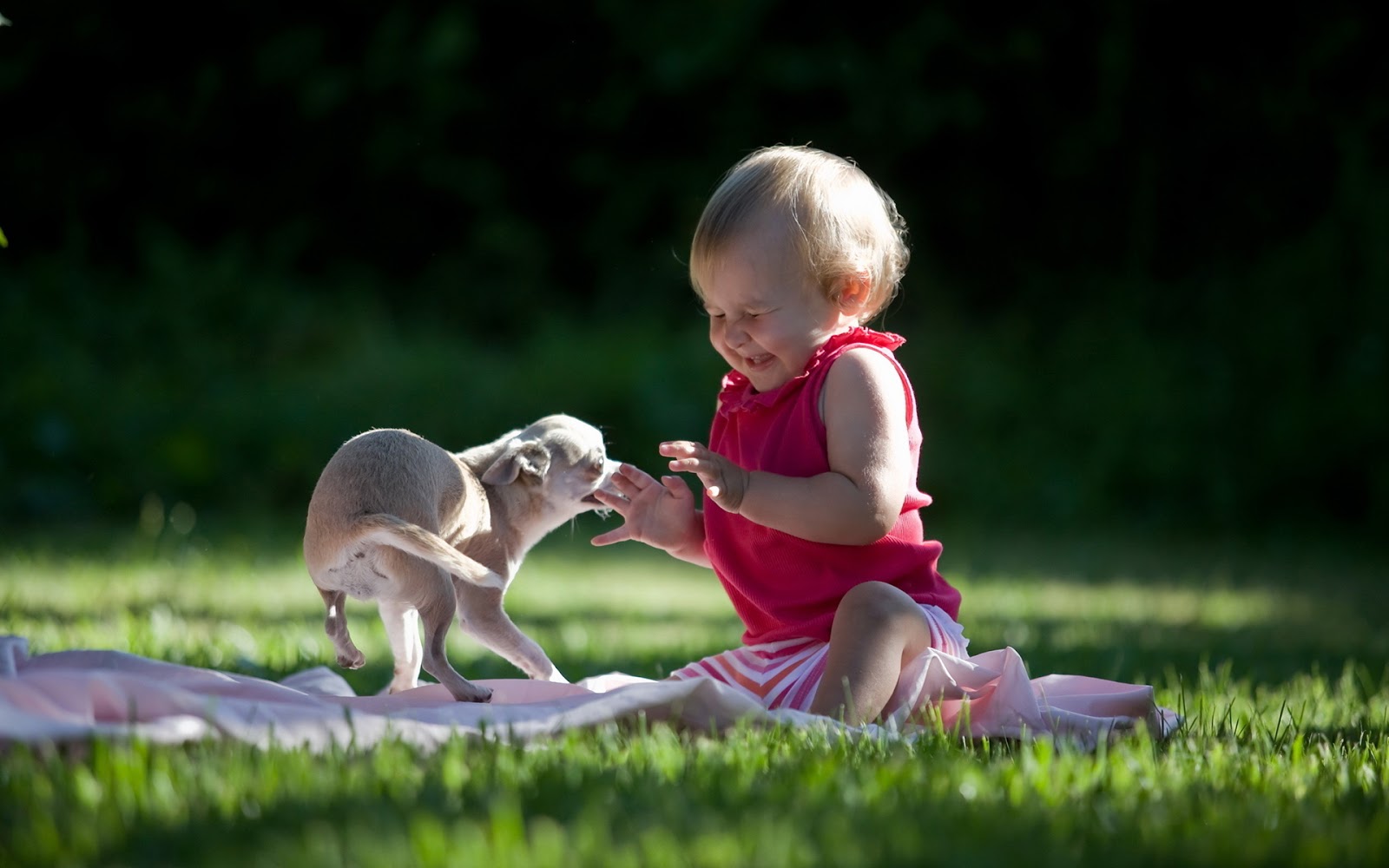 Cute+Baby+playing+with+pet+image