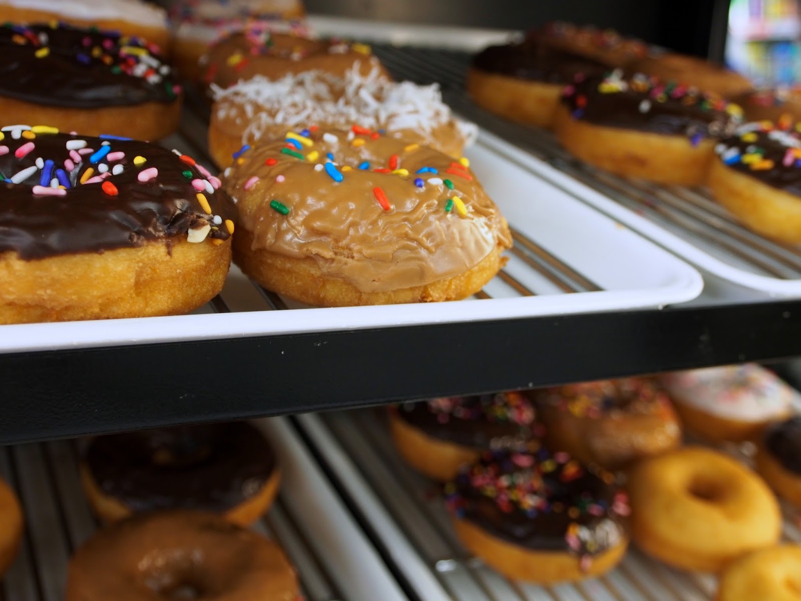 Neva travel with an infant August 2013