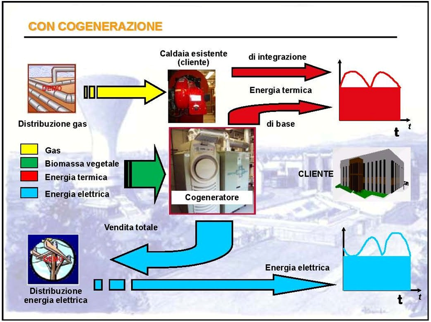 vantaggi impianto di cogenerazione a biomasse vegetali ed animali