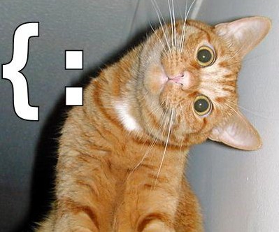 Funny Words Backwards