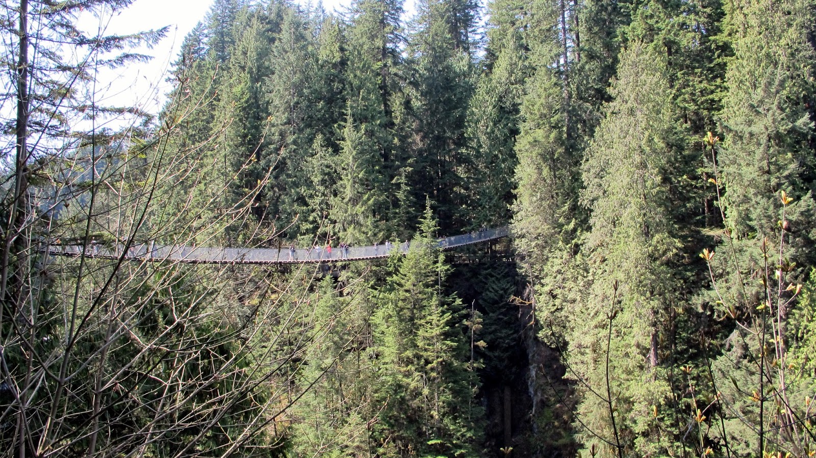 Pacific Northwest Trip: Vancouver Capilano Suspension Bridge Park