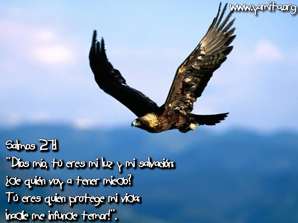 Pensamientos Cortos Cristianos Positivos