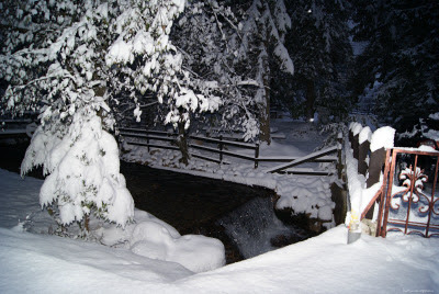 peisaj de iarna Bran Moeciu winter scene