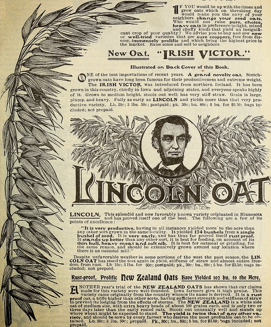 Ad for Lincoln Oat.