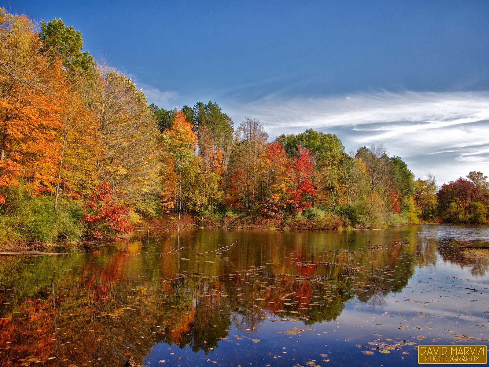 David Marvin Photography Lansing, Michigan Autumn Colors Rose Lake