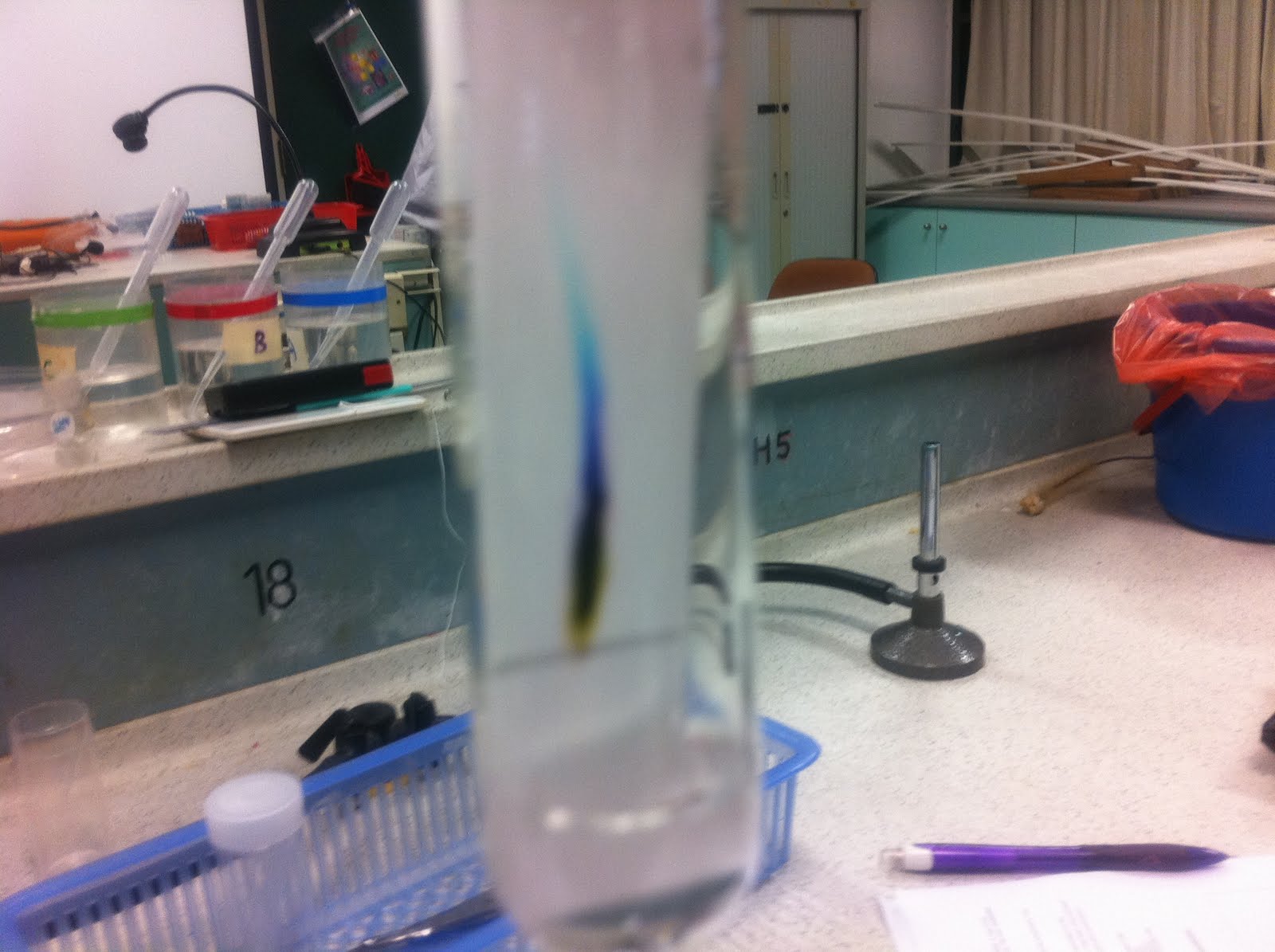 Crime Scene Investigation Chromatography and Flames