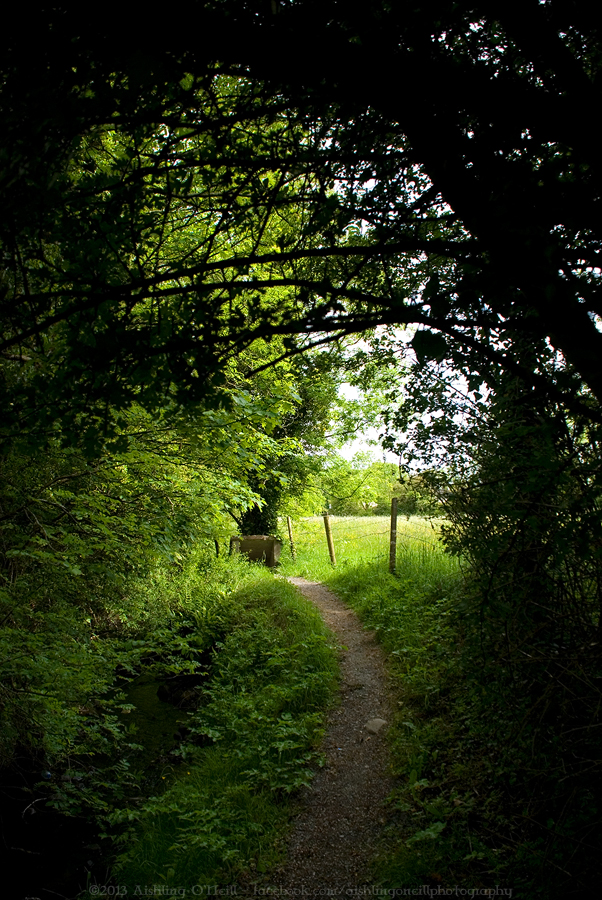 Aishling O'Neill Photography Legan, Co. Longford, Ireland 2011