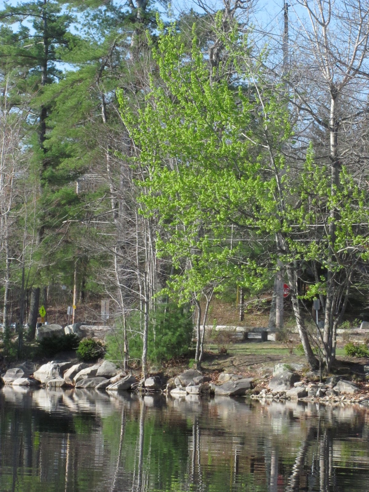 Recreational Kayaking in Maine Crystal Lake, Gray, Maine