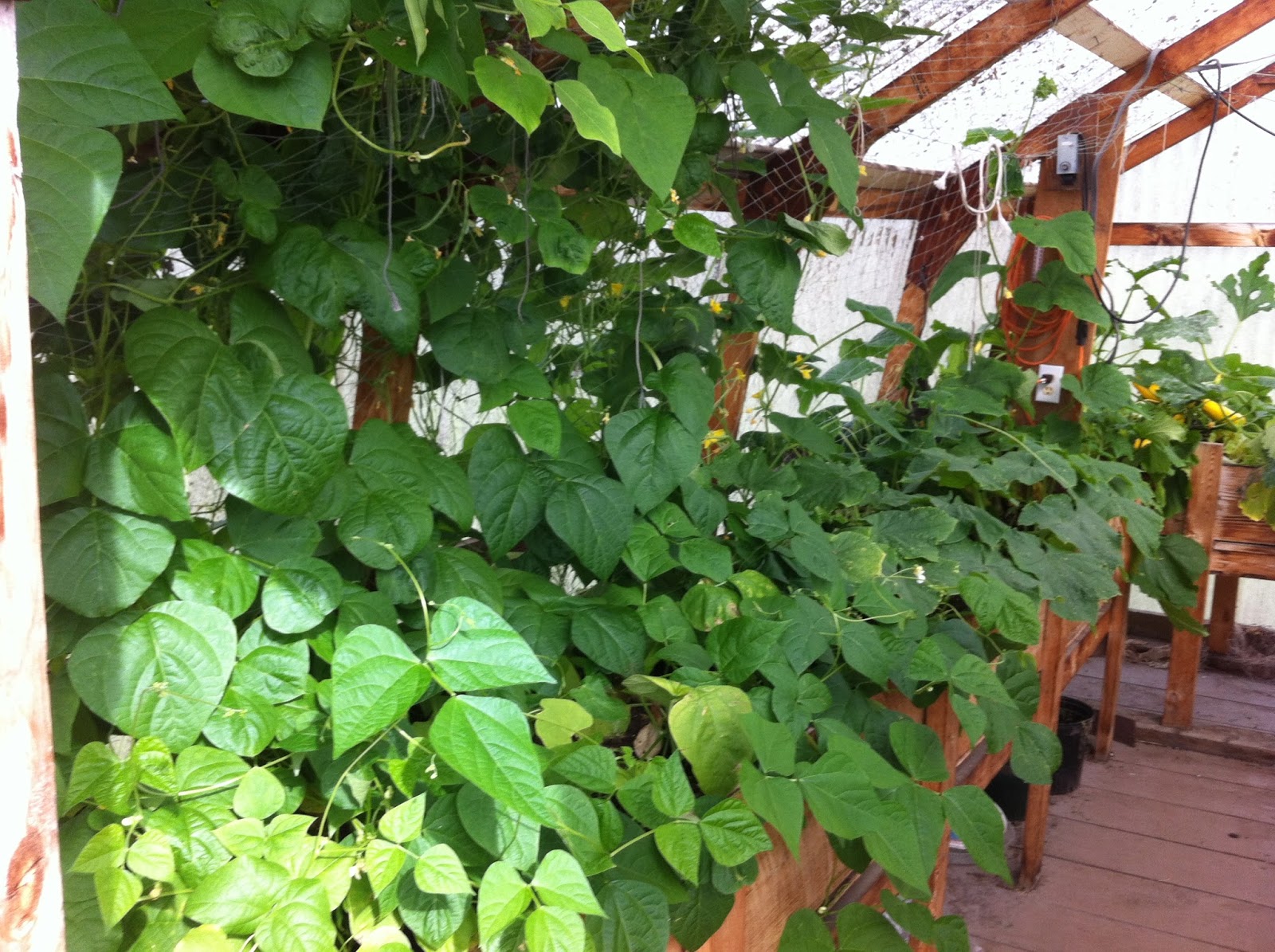 Alaska Gardening Blogs